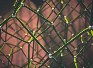 Orgenesis To Collaborate With Ben-Gurion University To Develop And Commercialize A Novel Scaffold Technology For Cell Transplantation