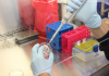 Proteostasis Therapeutics Contributes To HIT-CF Europe Cystic Fibrosis Organoid Drug Screens