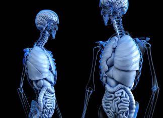 Perspectum Diagnostics Awarded Grant For Quantitative MRI Of Organs In Type 2 Diabetes Patients