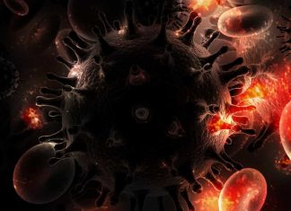 Diagnostic For Post-Transplant Lymphoproliferative Disease Developed; Biobank Partners Sought