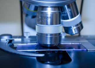 ContextVision Progresses With AI Based Digital Pathology