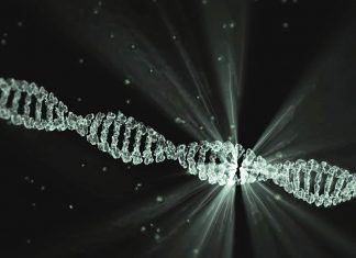 National Cancer Institute Awards $457,660 For Hereditary Breast Cancer Research In African Americans