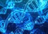 Biobanking Science: CRISPR Gene Editing to Treat Human Disease