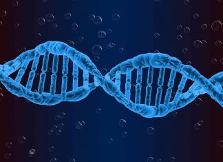 Predicting Cancer Progression With Methylation Levels In Blood cfDNA