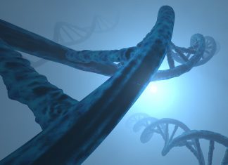 Broad And Sanger Reproduce CRISPR-Cas9 Genetic Knock-Out Screens In 725 Cancer Cell Line Models