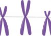 A New Severity Score For Fabry Disease