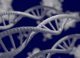 Lessons Learned From Participation In The 100,000 Genomes Project