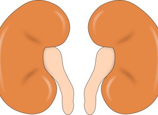 Serum Uric Acid Predicts Kidney Cancer Incidence