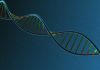 WTAP Gene Polymorphisms Modify Risk Of Hepatoblastoma