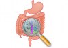 Prediction for Inflammatory Bowel Diseases Could be Improved with Multi-Population Risk Scores