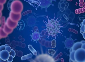 South Africa’s UWC IMBM Biobank Hosts One of the World’s Richest Microbial Collections University of the Western Cape (UWC) Biobank Continues to Grow after it earns Spot as One of Seven National Biobanks