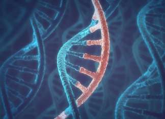 New AI Method Makes it Possible to Analyse Cancer Genomes from FFPE Tissue Samples Artificial Intelligence Unlocks ‘Treasure Trove’ of Cancer Genomes from Billions of Preserved Tissue Samples