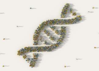 Oversubscribed US$8.15M Raised by Asa Ren to Build an Indonesia Population DNA Database An Oversubscribed US$8.15M Raised by Asa Ren to Build an Indonesia Population DNA Database