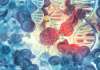 Genomill and iCAN Partner to Improve Cancer DNA Detection Through Extensive Biobank Samples Genomill and iCAN Partner to Improve Cancer DNA Detection Through Extensive Biobank Samples