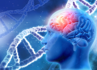 Canberra’s First Brain Cancer Biobank Established by Canberra Brain Cancer Collaborative Canberra’s First Brain Cancer Biobank Established by Canberra Brain Cancer Collaborative