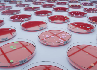 Applications of Microbial Biobanking in Research and Industry Applications of Microbial Biobanking in Research and Industry