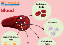 Blood Banking: Navigating Challenges, Best Practices, and the Role of a Blood Bank Management Solution The Role of a Blood Bank Management Solution in Overcoming Operational Hurdles of Blood Banking