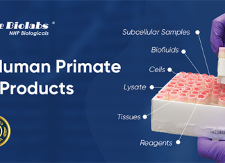 Creative Biolabs: Fueling NHP Research with Premium Biologicals Creative Biolabs: Fueling NHP Research with Premium Biologicals