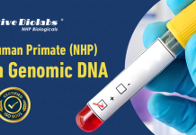 Creative Biolabs Doubles Down on NHP Solutions Amid Biomedical Research Frenzy Creative Biolabs Doubles Down on NHP Solutions Amid Biomedical Research Frenzy
