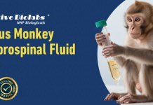 Monkey Business Goes Prime Time: How Creative Biolabs is Cashing in on the NHP Gold Rush Monkey Business Goes Prime Time: How Creative Biolabs is Cashing in on the NHP Gold Rush