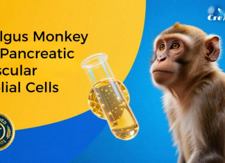 Non-Human Primate Biologicals: A Fresh Look at Microvascular Endothelial Cells Non-Human Primate Biologicals: A Fresh Look at Microvascular Endothelial Cells
