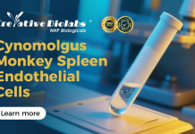 Serious Monkey Business: Driving the Next Biopharma Tide Serious Monkey Business: Driving the Next Biopharma Tide