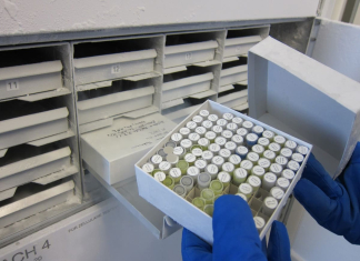 Australia’s National Biobank Coordination Could Unlock $39 Million in Annual Benefits Australia’s National Biobank Coordination Could Unlock $39 Million in Annual Benefits