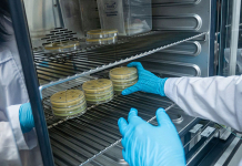 From Data Chaos to Operational Clarity in Biobank Sample Management From Data Chaos to Operational Clarity in Biobank Sample Management