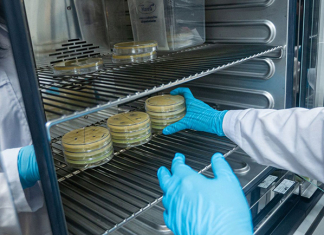 From Data Chaos to Operational Clarity in Biobank Sample Management From Data Chaos to Operational Clarity in Biobank Sample Management