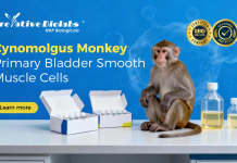 NHP Primary Cell Models: Multi-Tissue Cynomolgus Monkey Resources Continue to Expand NHP Primary Cell Models: Multi-Tissue Cynomolgus Monkey Resources Continue to Expand