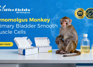 NHP Primary Cell Models: Multi-Tissue Cynomolgus Monkey Resources Continue to Expand NHP Primary Cell Models: Multi-Tissue Cynomolgus Monkey Resources Continue to Expand