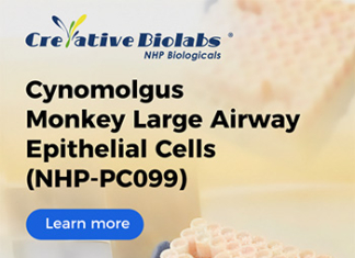 The Precision of Life: Creative Biolabs’ Journey to Capture the Cynomolgus Monkey’s Story in Every Cell The Precision of Life: Creative Biolabs' Journey to Capture the Cynomolgus Monkey's Story in Every Cell