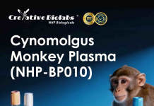 Unlocking Translational Triumphs: Creative Biolabs Expands Premium NHP Biofluid Portfolio to Supercharge Preclinical Research Unlocking Translational Triumphs: Creative Biolabs Expands Premium NHP Biofluid Portfolio to Supercharge Preclinical Research
