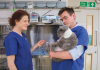 Royal Veterinary College Launches Europe’s First Veterinary Oncobiome Bank RVC Establishes Europe’s First Veterinary Oncobiome Bank