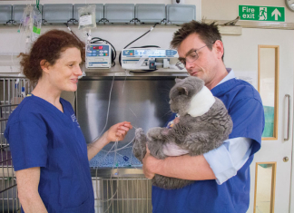 Royal Veterinary College Launches Europe’s First Veterinary Oncobiome Bank RVC Establishes Europe’s First Veterinary Oncobiome Bank