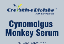 Why Are Cynomolgus Monkeys Used in Research? Creative Biolabs Reviews NHP Sample Applications Why Are Cynomolgus Monkeys Used in Research? Creative Biolabs Reviews NHP Sample Applications