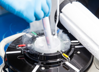 Cornell Study Advances Embryo Biobanking Through Faster Freezing Cornell Study Advances Embryo Biobanking Through Faster Freezing