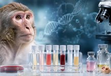 Non-Human Primates for Translational Research: A Smarter Biospecimen Strategy Non-Human Primates for Translational Research: A Smarter Biospecimen Strategy